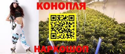 гашик Балашиха