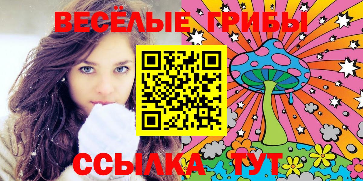 продажа наркотиков  Вход с VPN  Волжск  Галлюциногенные грибы MAGIC MUSHROOMS 