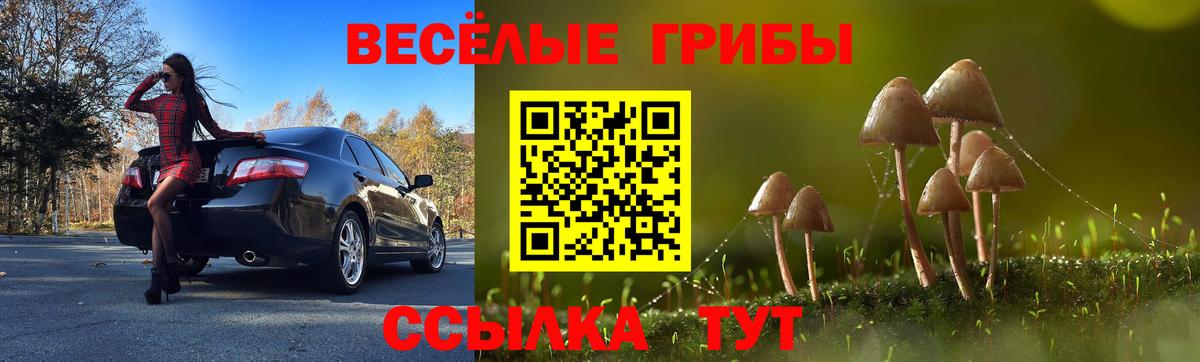 Галлюциногенные грибы MAGIC MUSHROOMS Волжск